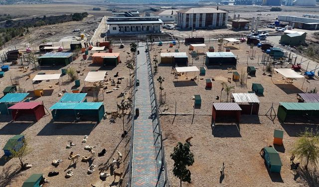 Hayvan Bakımevi ve Doğal Yaşam alanı yükseliyor