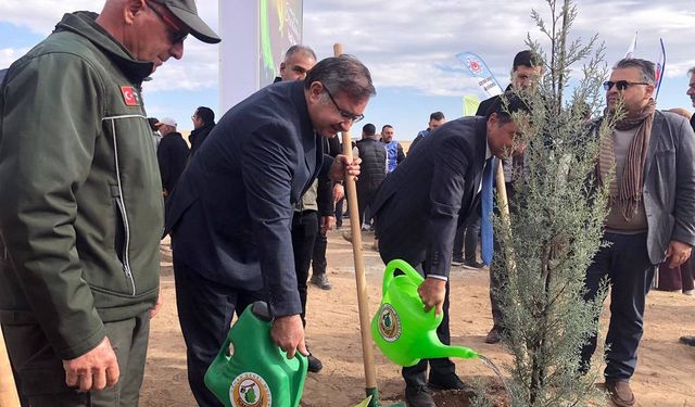Milli Ağaçlandırma Günü'nde 20 bin fidan dikildi