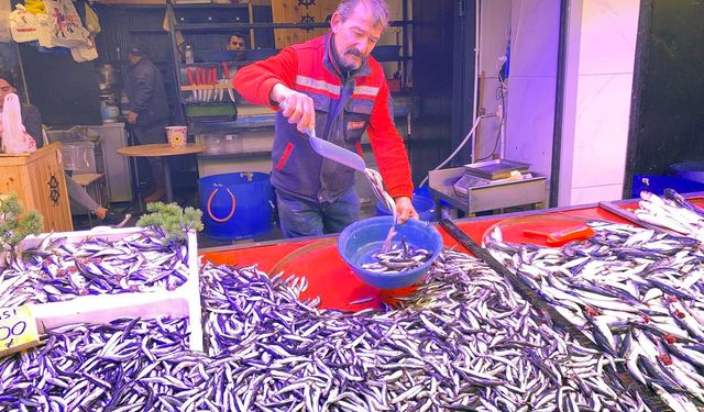 Denizlerde bollaşan hamsi tezgahlarda 100 TL’ye yer buldu