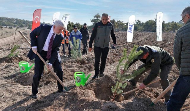 TEI'den 17 bin fidanlık 40. Yıl Hatıra Ormanı