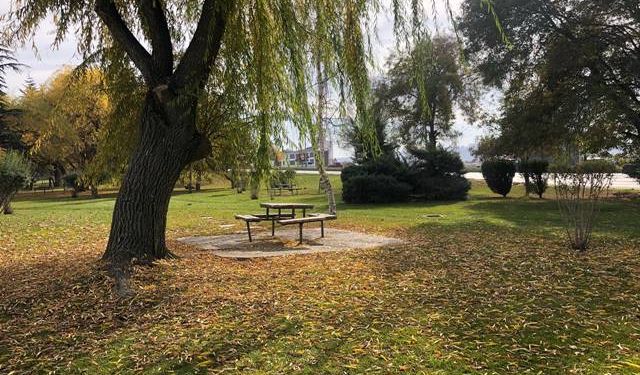 Dökülen yapraklar kartpostallık görüntüler oluşturdu