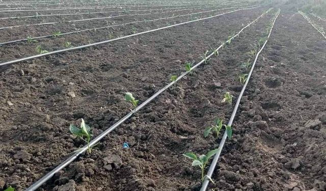 Eskişehir'de kırağı ve zirai don bekleniyor