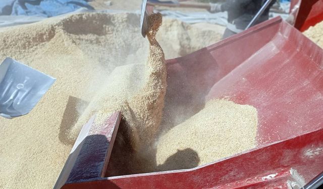 Büyükşehirden yemlik tahıl karışımı ve balya desteği