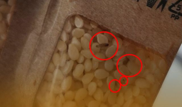 Kampanyalı susamın içinden kurt çıktı