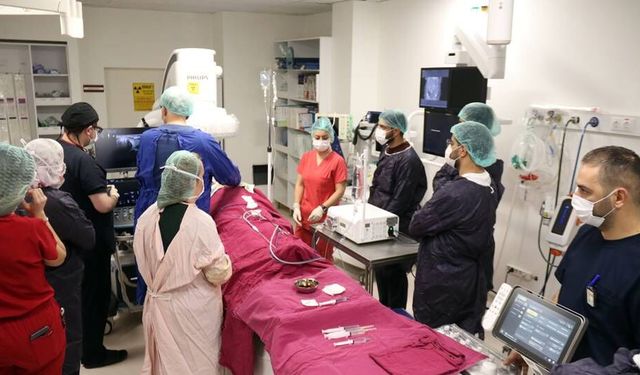 Yabancı doktorlar tecrübe için Türk doktorlarını seçti