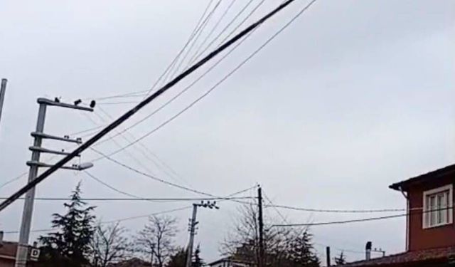 Seyitgazi'de dev bayrak direği elektrik tellerinin üzerine devrildi