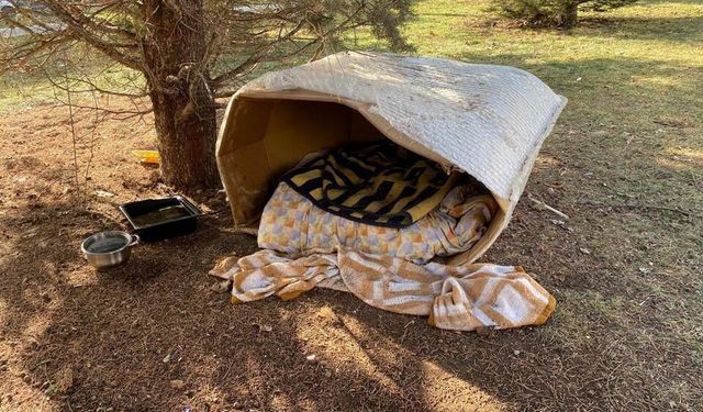 Soğuk kış şartlarında hayvanlar için korunaklı kulübeler yaptılar