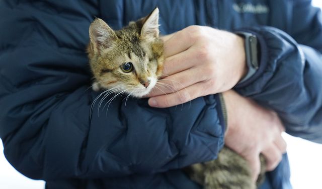 Eskişehir'deki merkez patili canlara yuva oluyor!