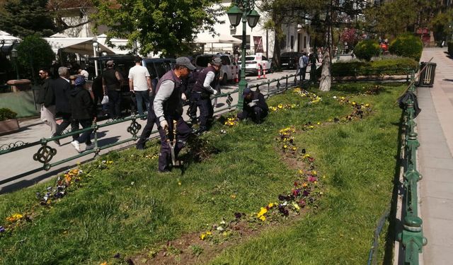 Eskişehir'de refüjlere bahar yansıdı