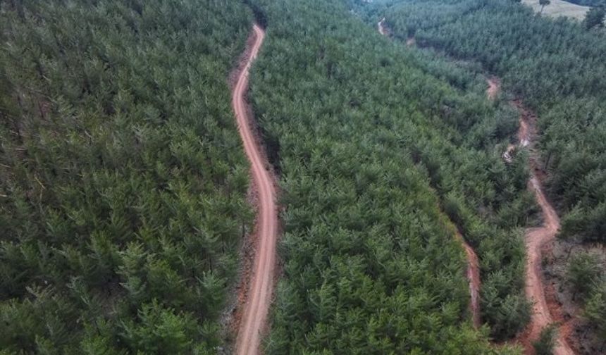 2B Arazilerinde tapu süreci başladı