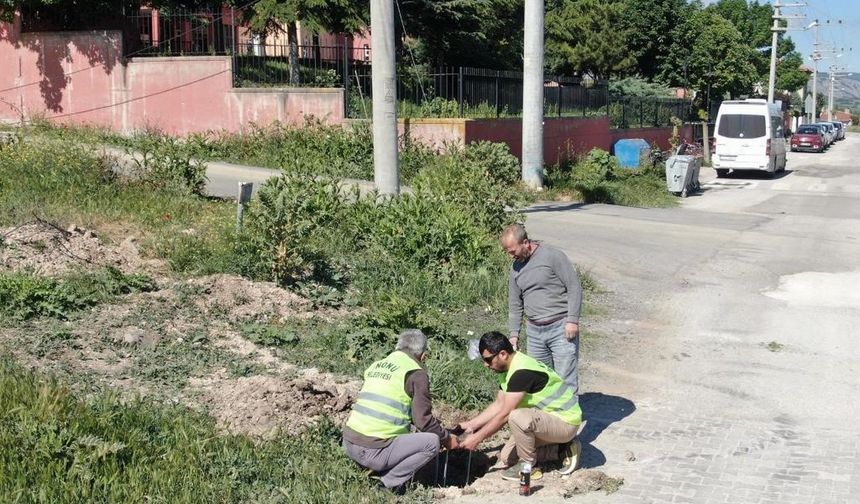 İnönü'de aydınlatma çalışmaları başladı: Mahalleler ışıldayacak