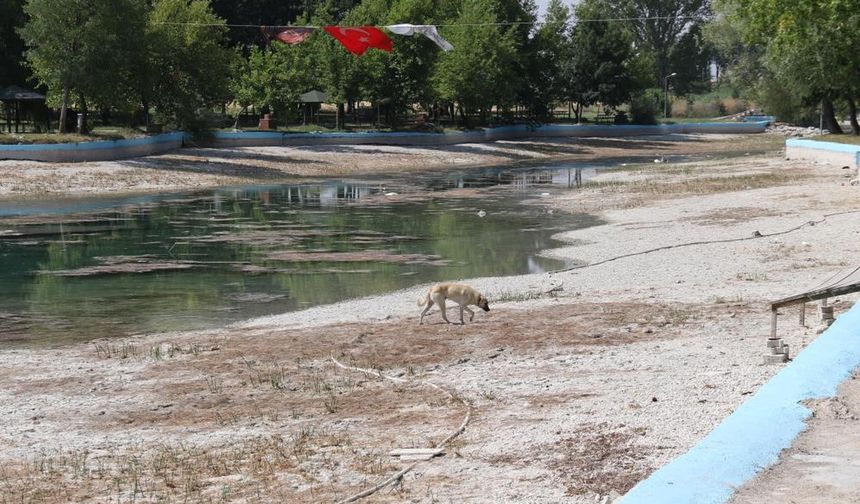 Çifteler Belediyesi’ne DSİ’den Sakaryabaşı uyarısı