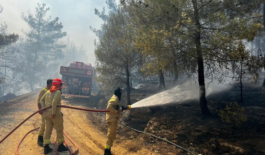 Bilecik'teki yangın büyümeye devam ediyor! 1 ilçeye daha sıçradı!