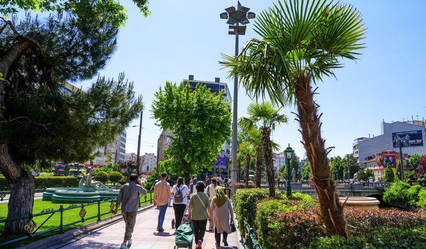 Eskişehir'e palmiyelerle yaz geldi