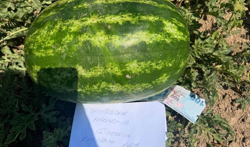 Tarlasında gördüğü not karşısında duygulandı