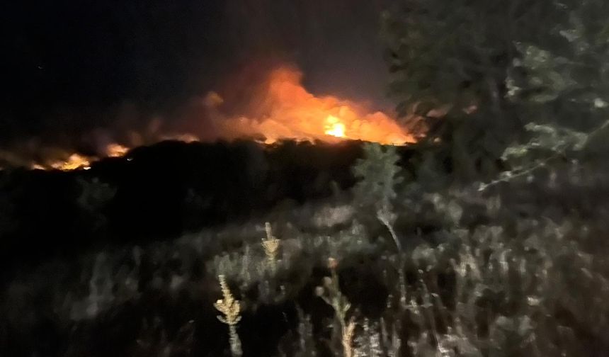 Büyükşehir ekiplerinden Bilecik’te alevlerle mücadele