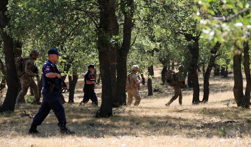 Jandarma muhtemel orman yangınlarına karşı teyakkuzda