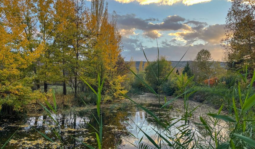 Sonbahar renkleri Eskişehir'i süsledi