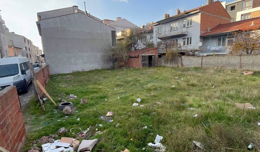 Çamlıca'da 8 ölü kedi bulundu