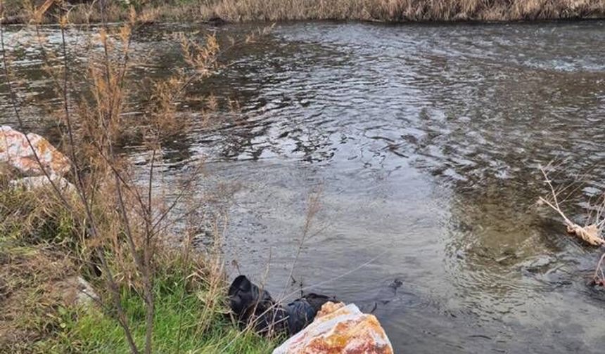 Trenin çarptığı yaya hayatını kaybetti