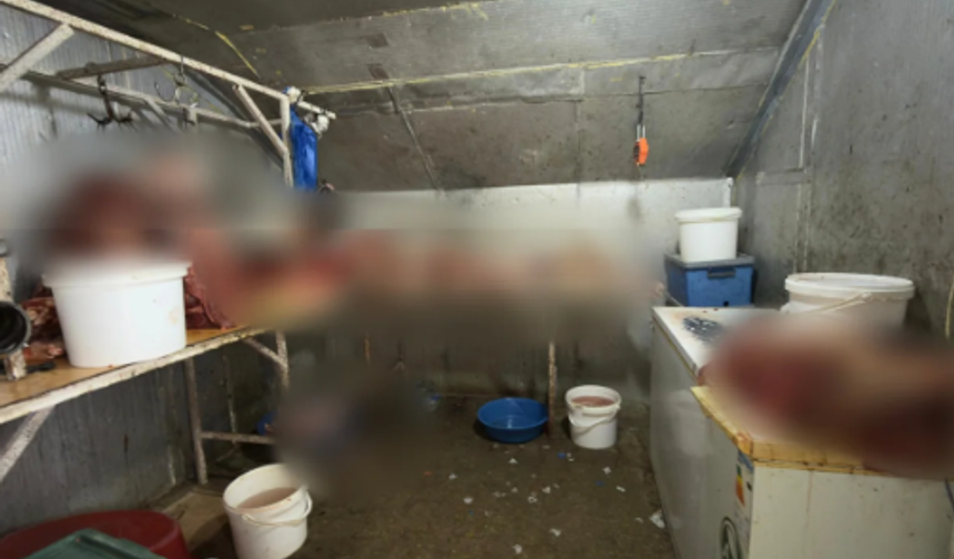 Eskişehir'de kaçak at kesim operasyonu: 215 kilo at eti ele geçirildi