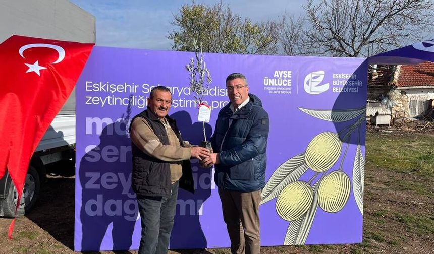 Eskişehir’de zeytin geleceğe kök salıyor