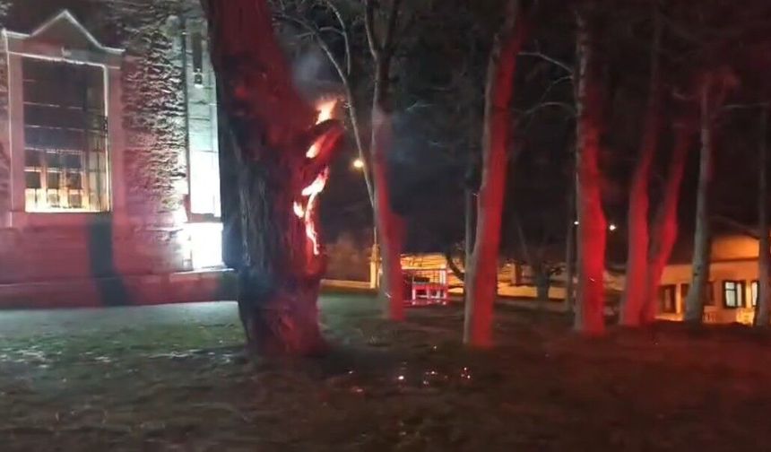Tarihi ağaç ateşe verildi