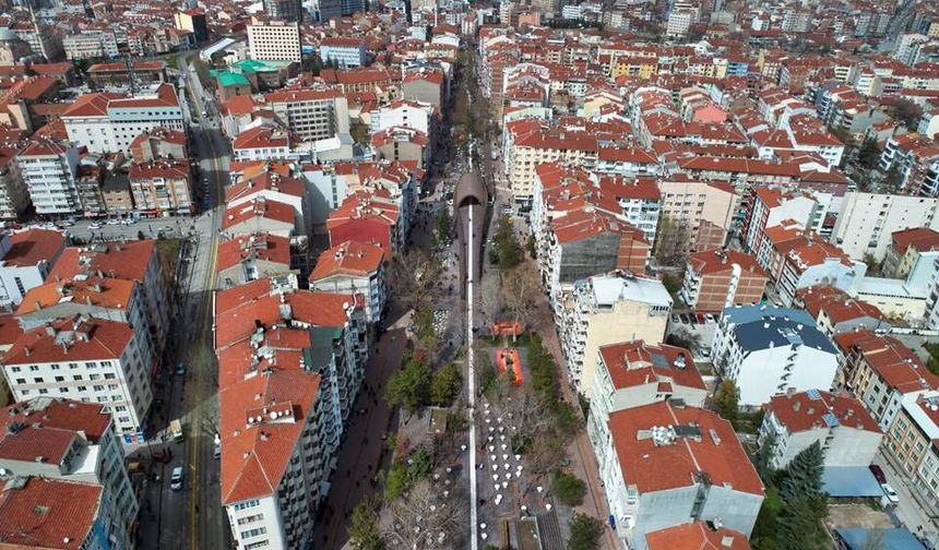 Hamamyolu Caddesi’nde ağaç budama çalışması başlıyor