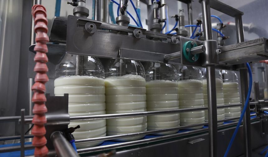 Eskişehir'de Halk Süt milyonları buluşturdu