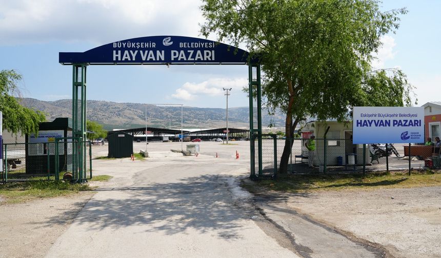 Hayvan pazarı için yer satışları başladı