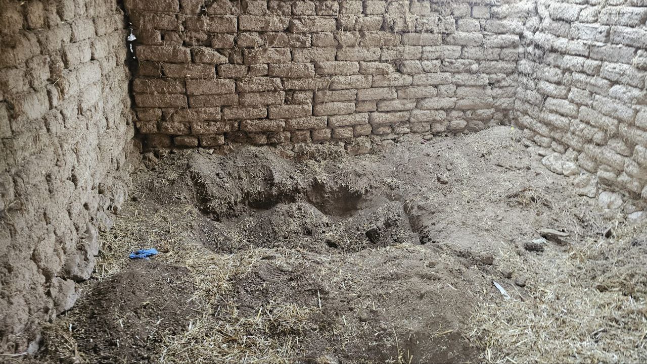 Kardeş Cinayeti (2)