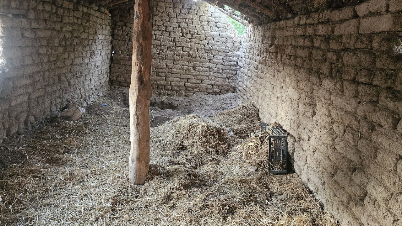 Kardeş Cinayeti (4)