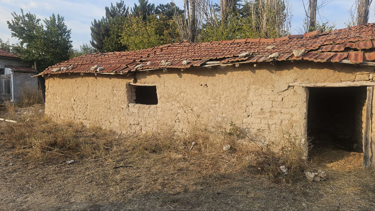 Kardeş Cinayeti (8)