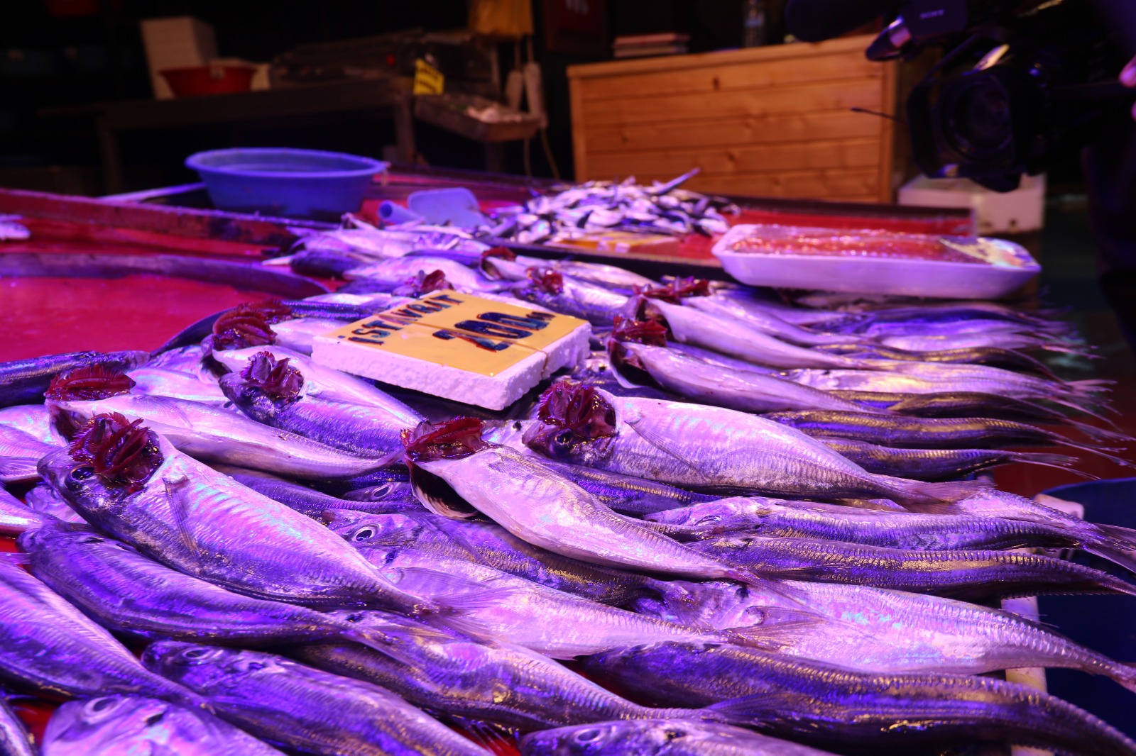 Whatsapp Image 2025 10 05 At 15.37.06 (1)