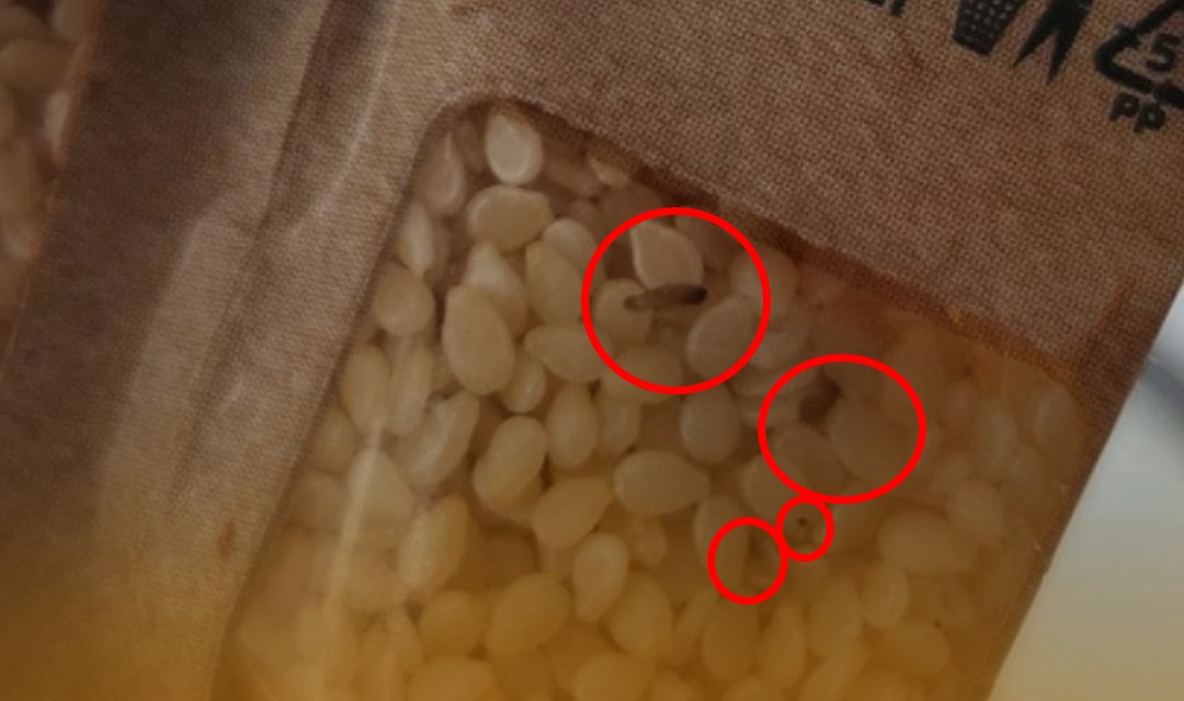 Whatsapp Görsel 2025 11 18 Saat 13.53.22 29D451B6