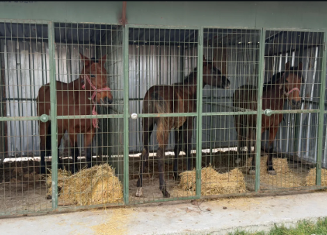 Ekran Görüntüsü 2025 12 11 112432